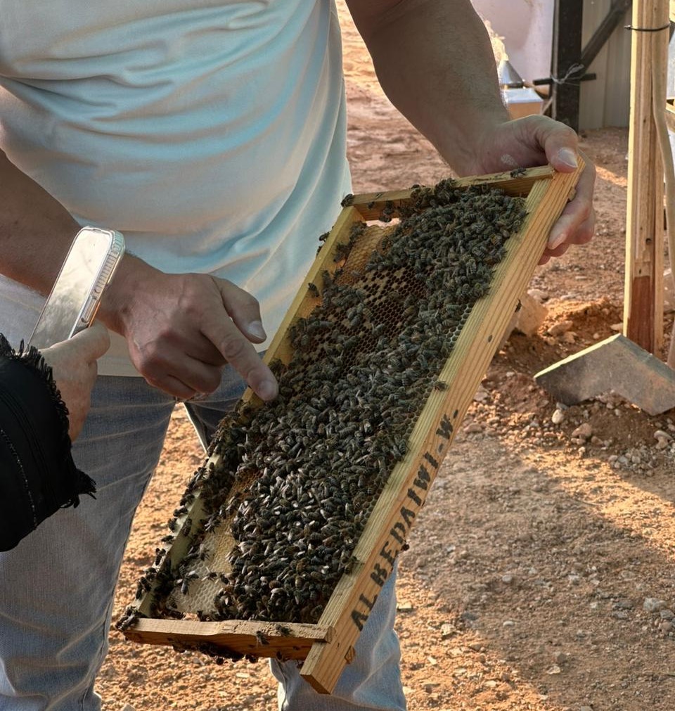 دورة أساسيات النحاله الحديثة  من 1-2-2026 الى 5-2-2026